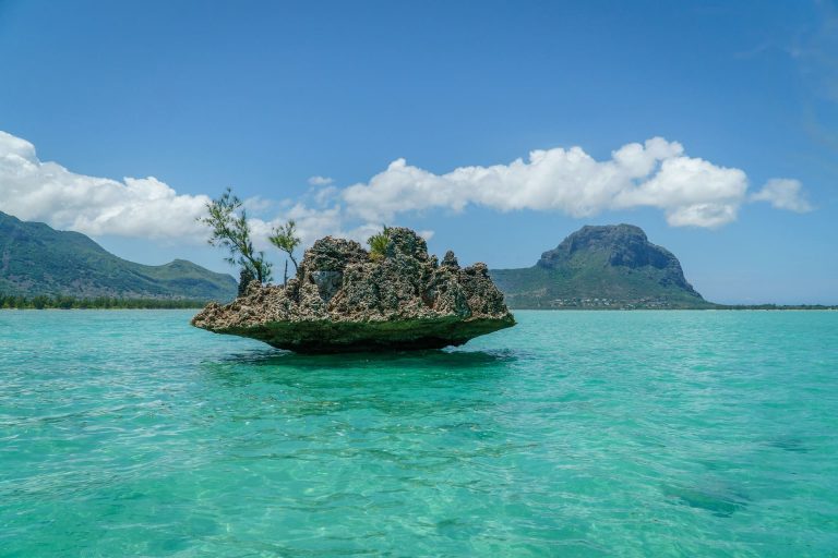 Bric receives business and crypto license from Mauritius